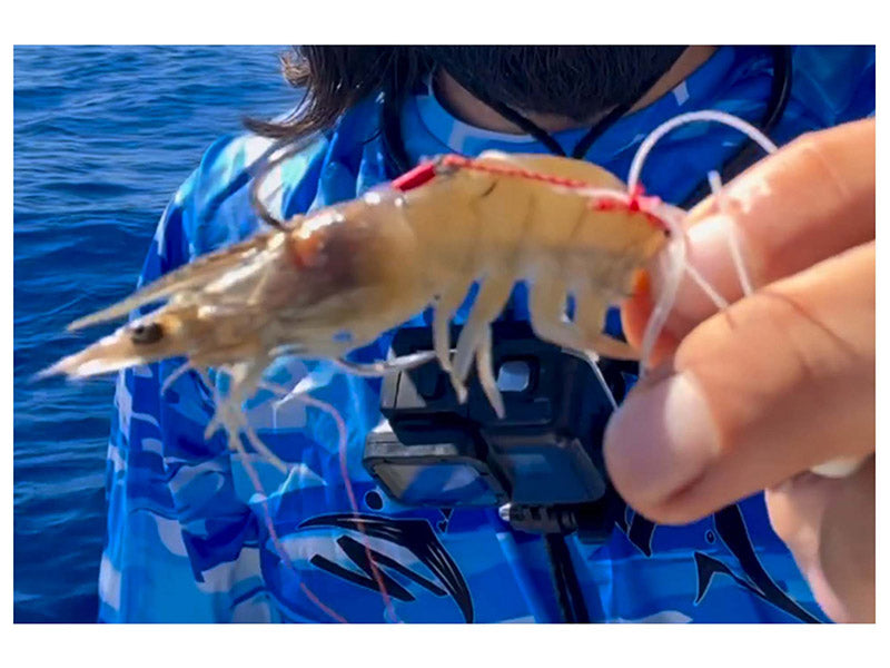 Tenya Nautilus JLC 2.0